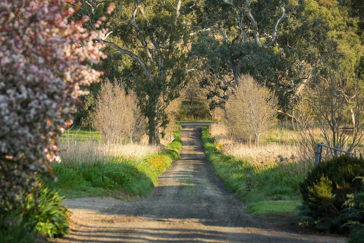 One Tree HillAl Ru Farm住宿加早餐旅馆 外观 照片