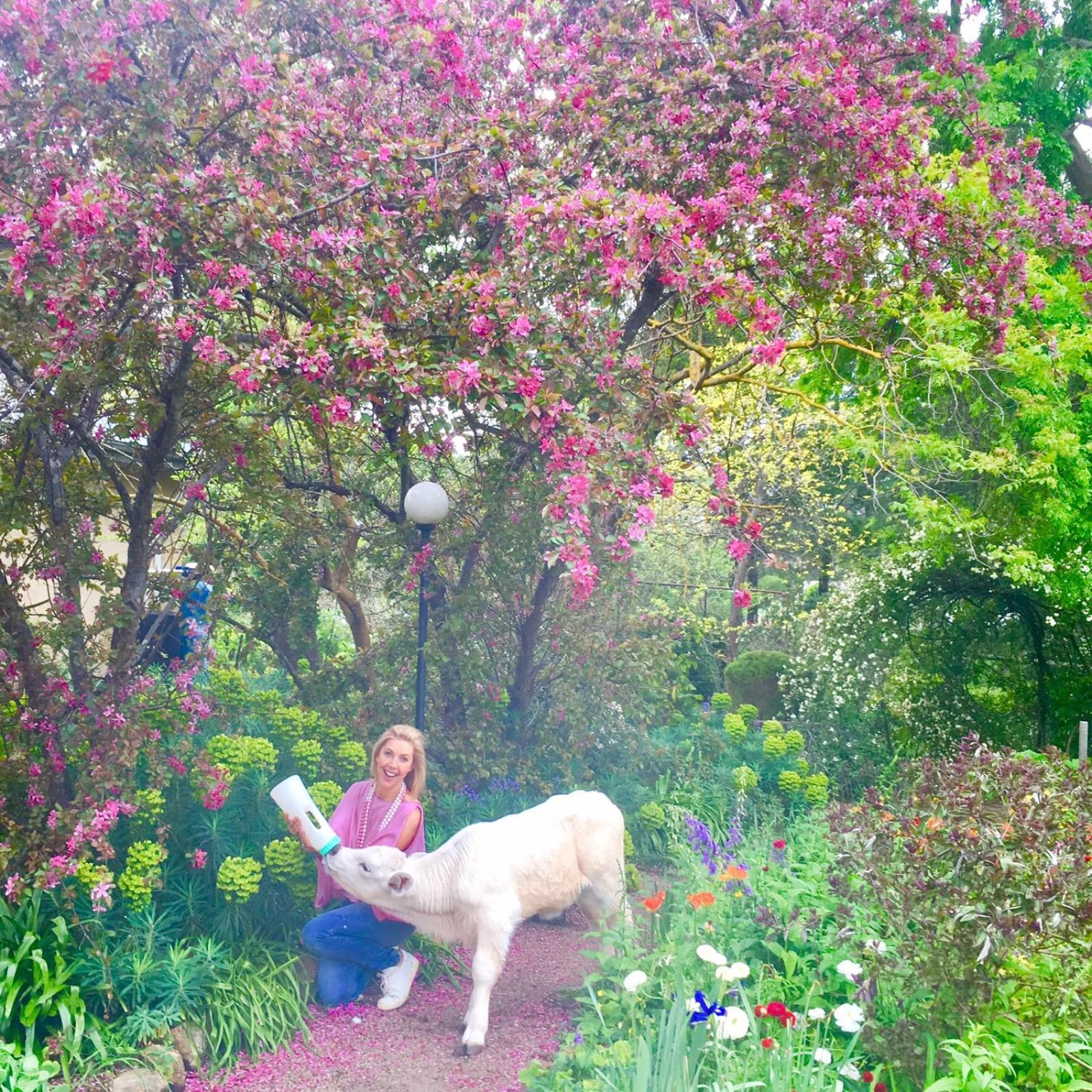 One Tree HillAl Ru Farm住宿加早餐旅馆 外观 照片