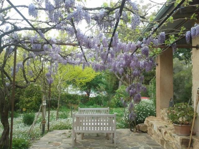 One Tree HillAl Ru Farm住宿加早餐旅馆 外观 照片
